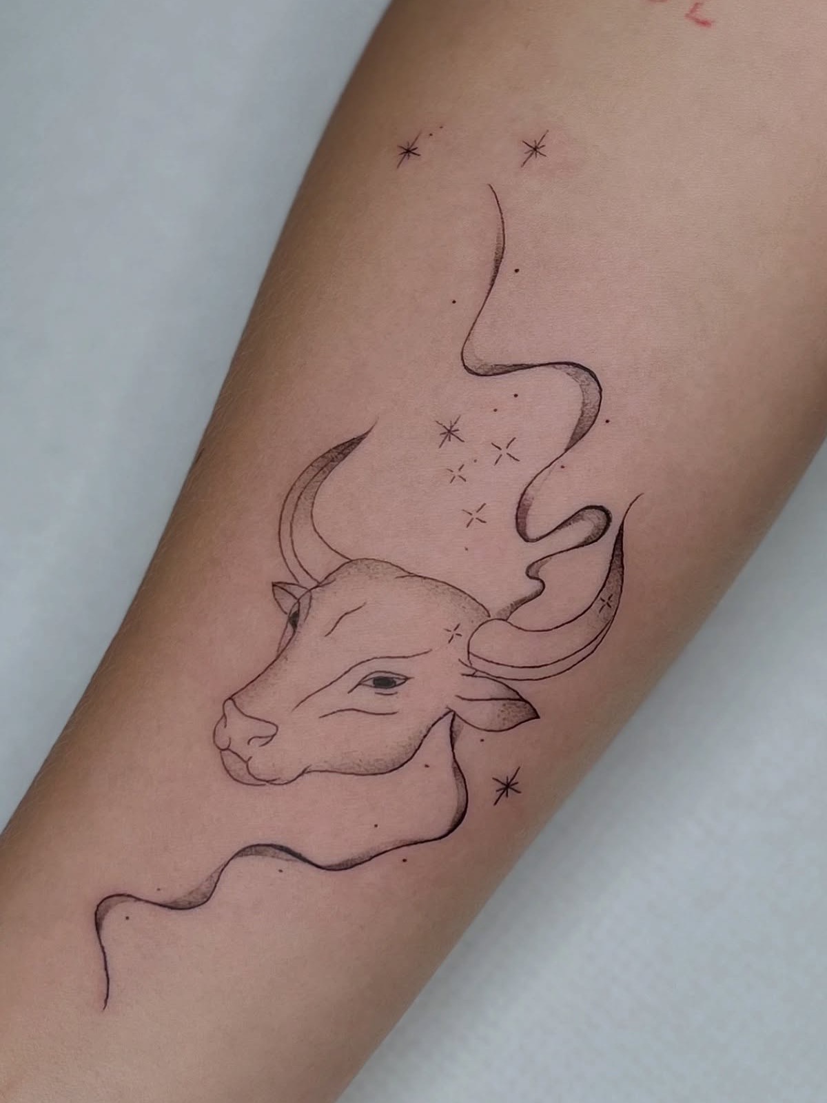 Tatouage taureau fine line sur bras par Moonchild